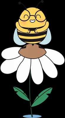 Bee resting on a white daisy