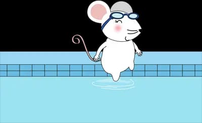 Mouse in goggles swimming in a blue pool