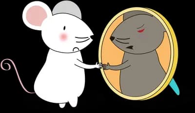 Mouse looking at its reflection in a hand mirror
