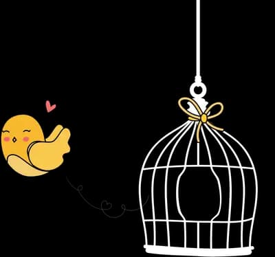Chick beside an empty wire cage