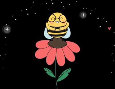 Bee resting on a red daisy