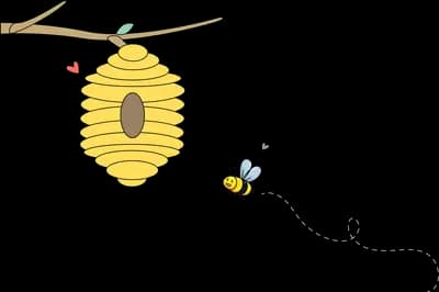 Beehive hanging from a branch with a bee
