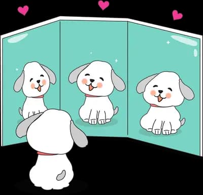 Dog looking at three mirror panels of itself