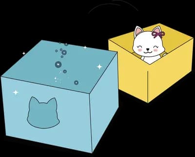 Cat sitting in one of two cardboard boxes