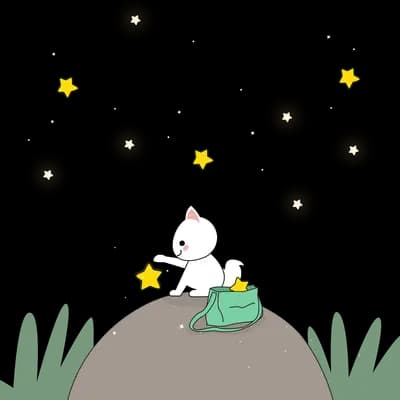 Cat on a rock with a bag among stars and grass