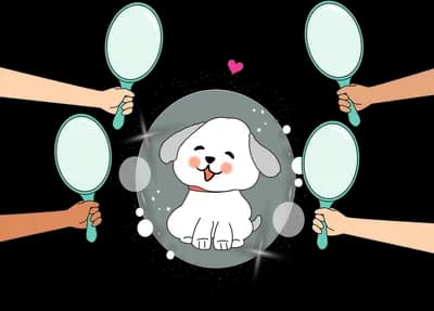 Dog surrounded by hands holding mirrors