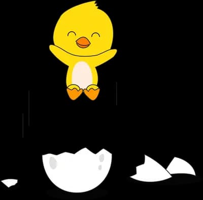 Chick standing above its broken eggshell