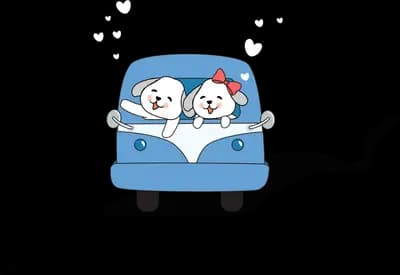 Two white puppies driving a blue car together