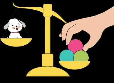 Hand adding coloured balls to a balance scale weighing a white puppy