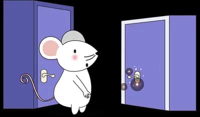 White mouse standing between two open purple doors deciding which to enter