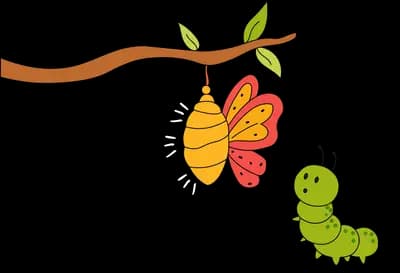 Caterpillar on a branch watching a butterfly emerge from a chrysalis