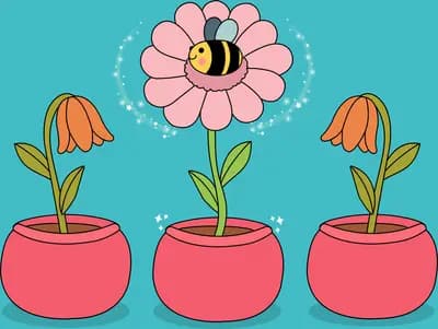 Bee resting on the middle of three potted flowers against a flat teal wall