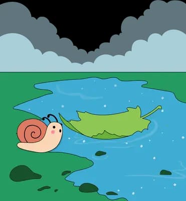 Snail beside a large green leaf near a stream in a green meadow