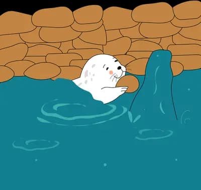 White seal pup lying in the teal water beside a stone dam