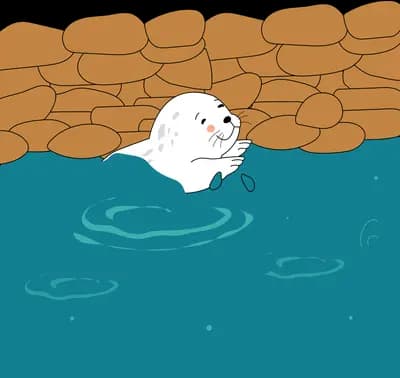White seal swimming in teal water beneath a stone dam wall