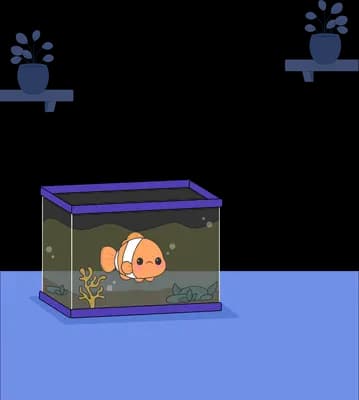 Clownfish alone in a glass tank on a blue platform
