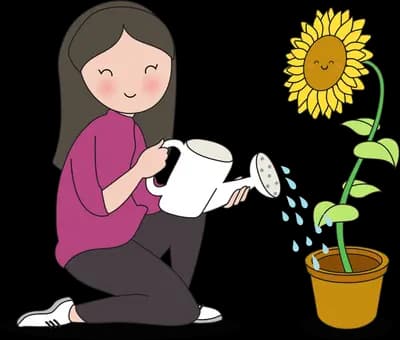 Woman kneeling to water a tall potted sunflower with a watering can