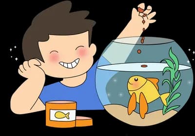 Boy watching fish in a round bowl