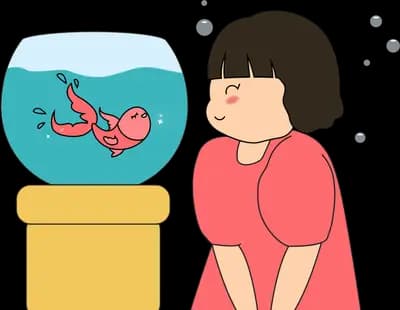 Girl watching goldfish in a round bowl