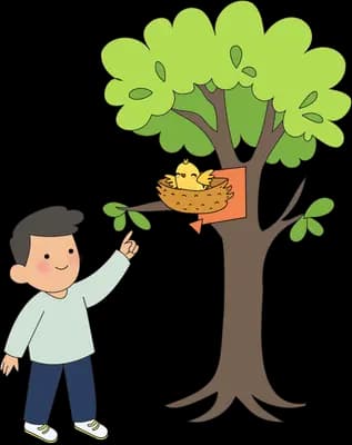 Boy reaching up to pick fruit from a tree with a basket in its branches