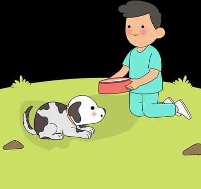 Boy kneeling with a red bowl beside a spotted puppy lying on the grass