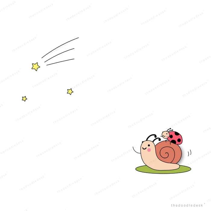Snail and ladybug watching a shooting star