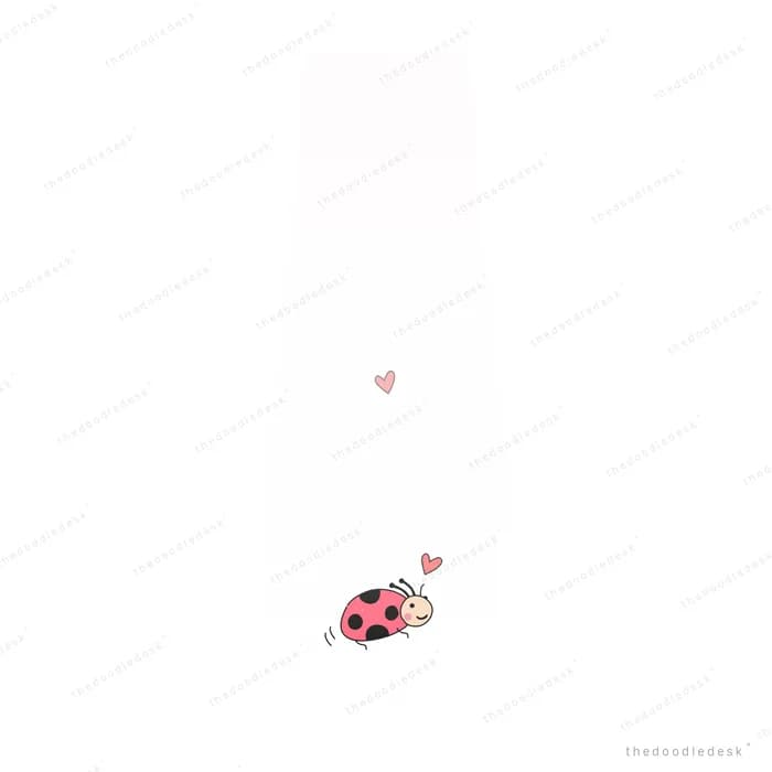 Single ladybug beneath a faint pale wash