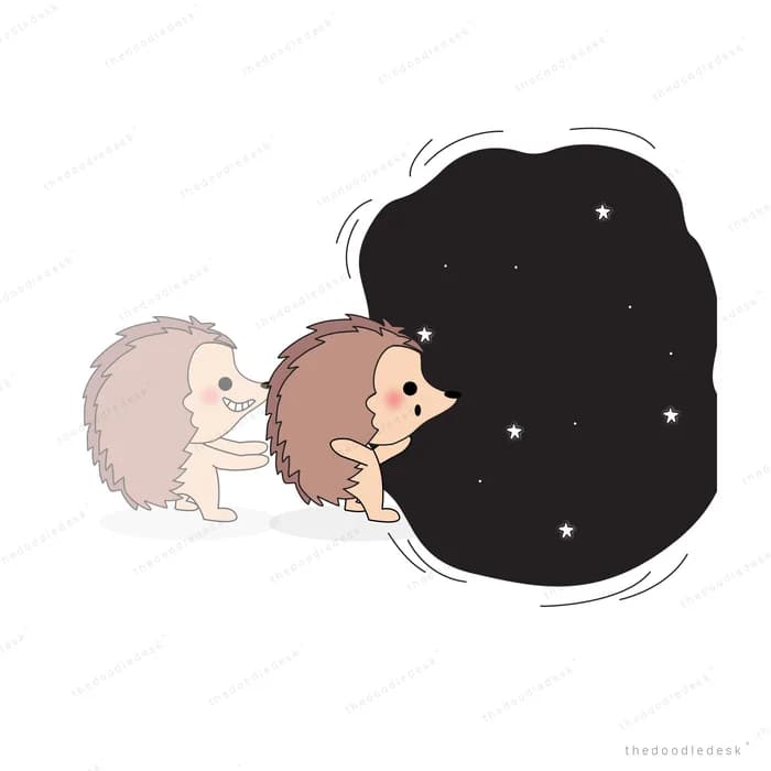 Two hedgehogs beside a dark starry blob