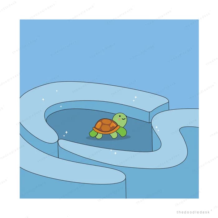 Turtle swimming in a small blue pool