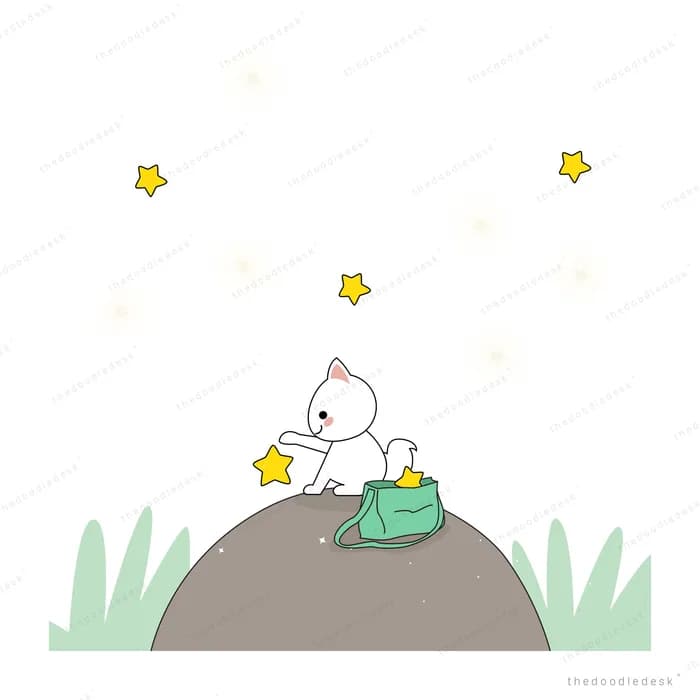Cat on a rock with a bag among stars and grass