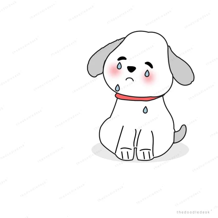 White dog sitting with a sad downturned expression and a tag on its collar