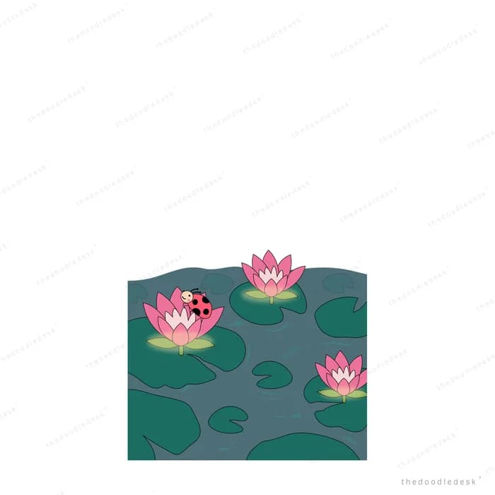 Two pink lotus flowers and a ladybug on a small dark pond