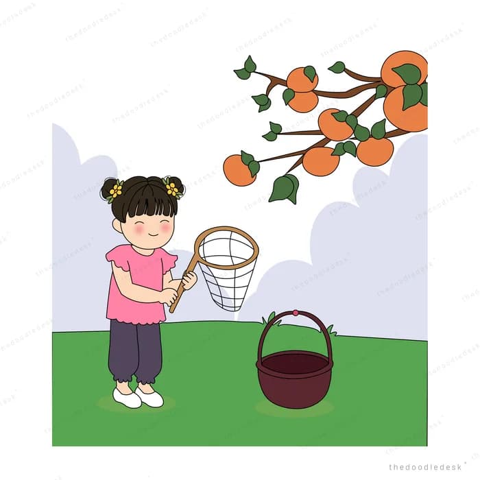 Girl in pink holding a wicker net below a branch of ripe persimmons