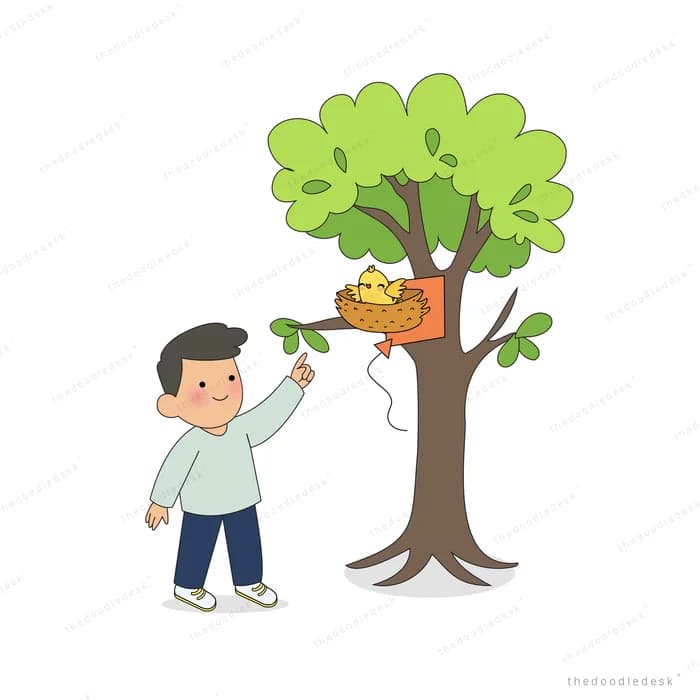 Boy reaching up to pick fruit from a tree with a basket in its branches
