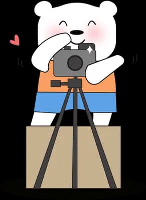 Bear photographing with a camera on a tripod