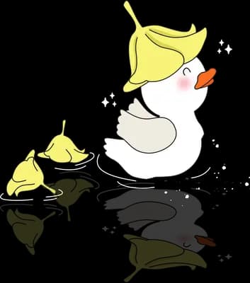 White swan with yellow reflections on water