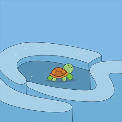 Turtle swimming in a small blue pool