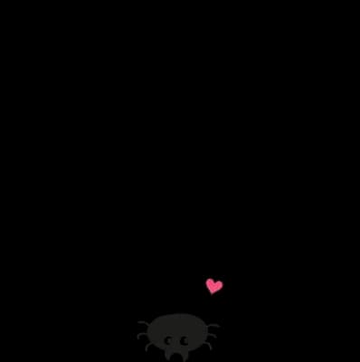 Spider descending from a large web