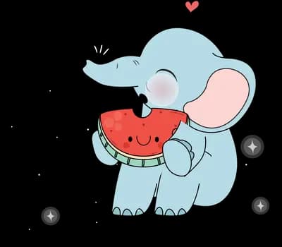 Elephant eating a slice of watermelon