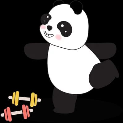 Panda exercising beside small dumbbells