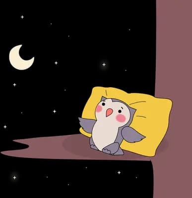 Penguin resting on a yellow cushion by a wall at night