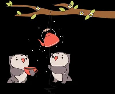 Two birds under a hanging teapot on a branch