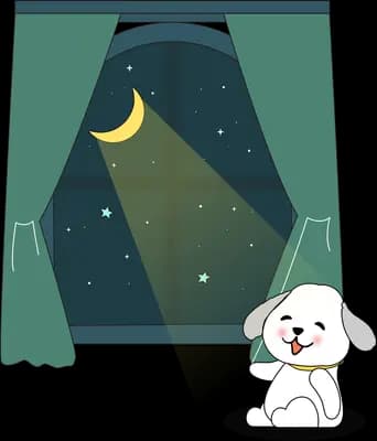 White dog sitting at a window looking out at a crescent moon and stars