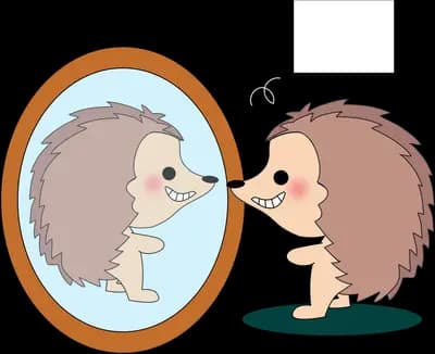 Hedgehog looking at its own reflection in an oval standing mirror