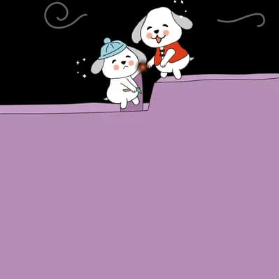 Two white dogs in a party hat and cape peeking over the top of a purple panel