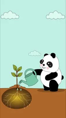 Panda watering a small seedling planted in a bed of soil