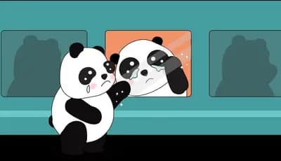 Panda posing beside a framed panda portrait on a gallery wall
