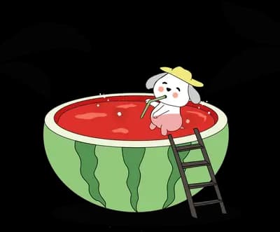 Dog in a sun hat floating in a hollowed watermelon pool with a ladder