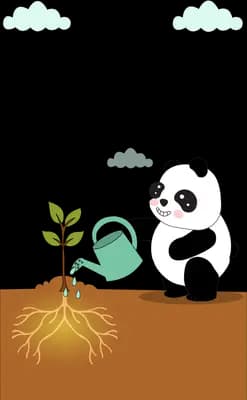 Panda watering a sapling whose roots spread below the soil