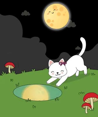 White cat peering into a pond that holds the reflection of the full moon